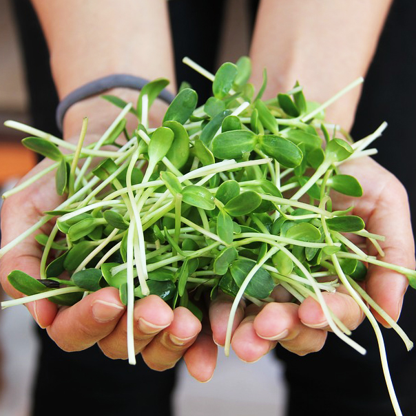 Eating According to TCM: Five Foods for Spring » That’s The Point ...